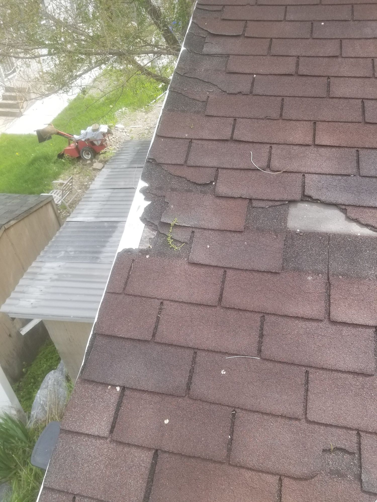 Damaged brown asphalt shingles at a roof eave, granules worn away, small weed growing between courses, in North Ogden, UT