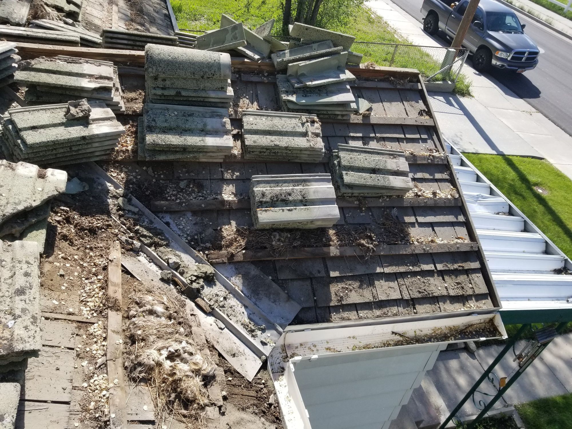 Mossy concrete roof tiles stacked on exposed wood battens during tear-off, debris and nests near white gutter