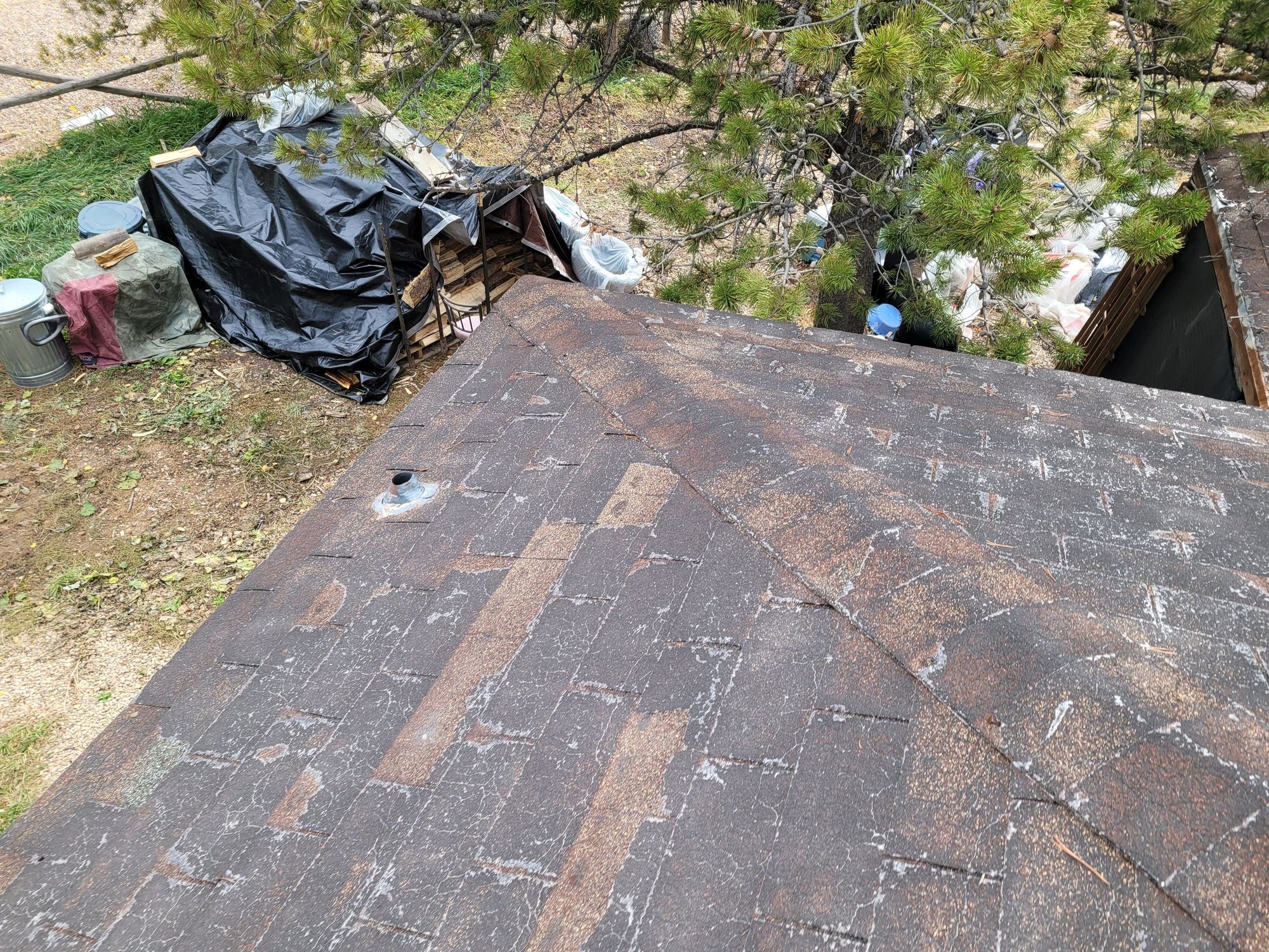 Aged asphalt shingle roof with granule loss, lichen spots and small metal pipe flashing; tarped woodpile below