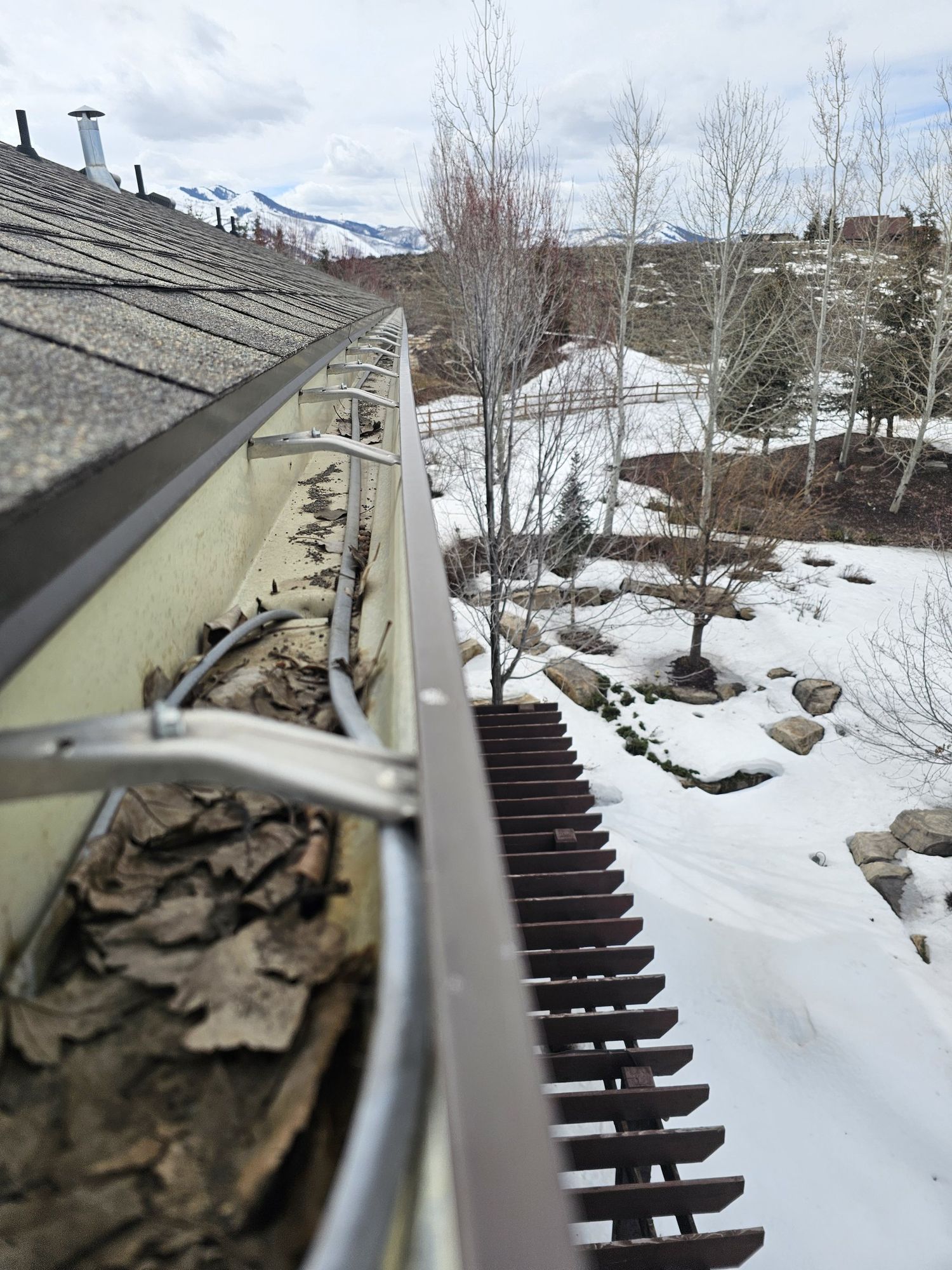Gutter along asphalt-shingle eave filled with dead leaves and twigs, heat cable inside, snow-covered yard below, in North Ogden, UT
