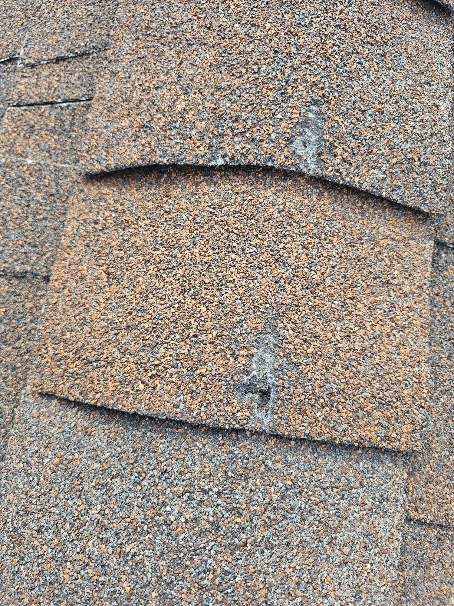 Close-up of worn brown asphalt shingles with curled edges, granule loss and exposed white mat fibers, in Draper, UT