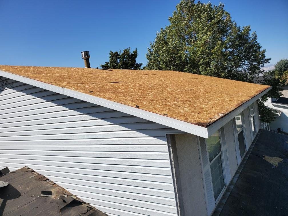 Bare OSB roof deck after tear-off on a white vinyl-sided house, with drip edge and metal vent